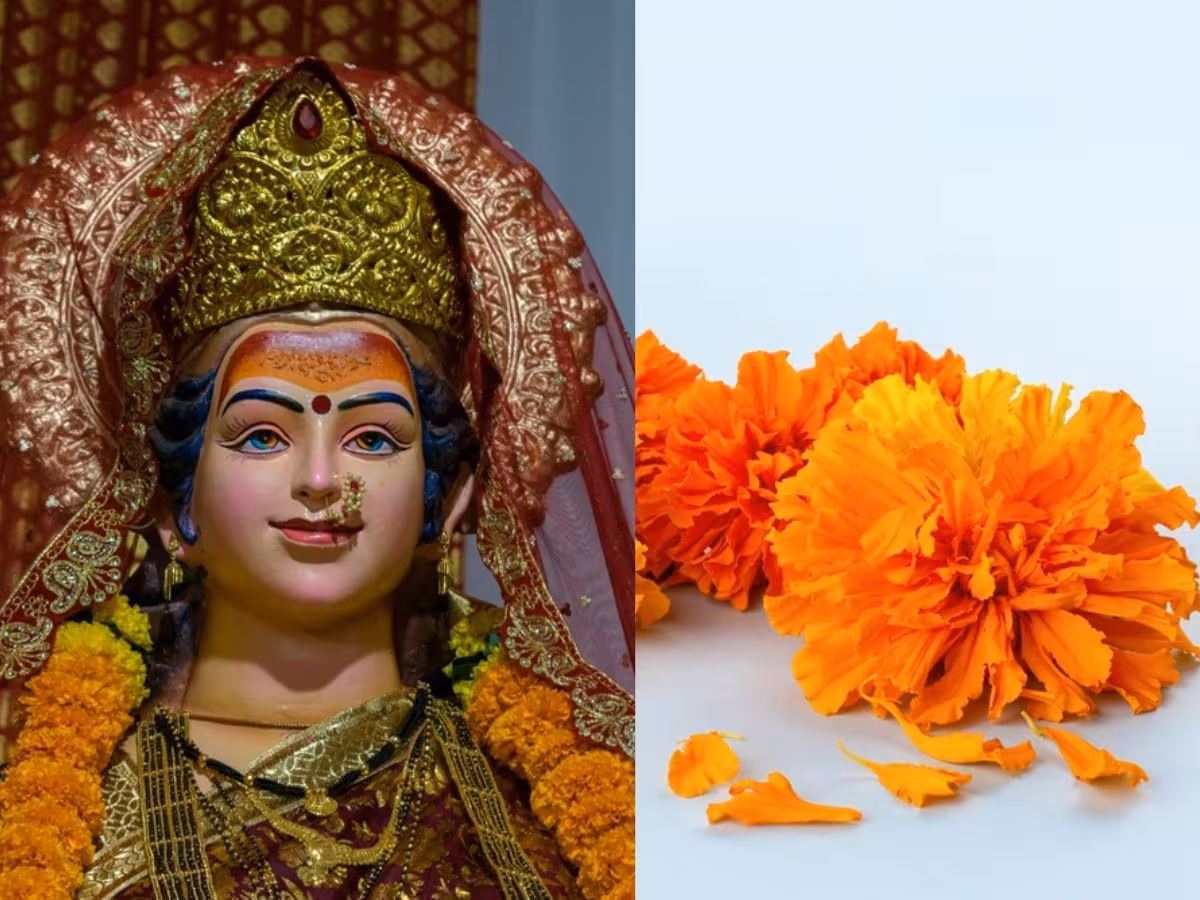 The Nine Forms of Durga (Navadurga)